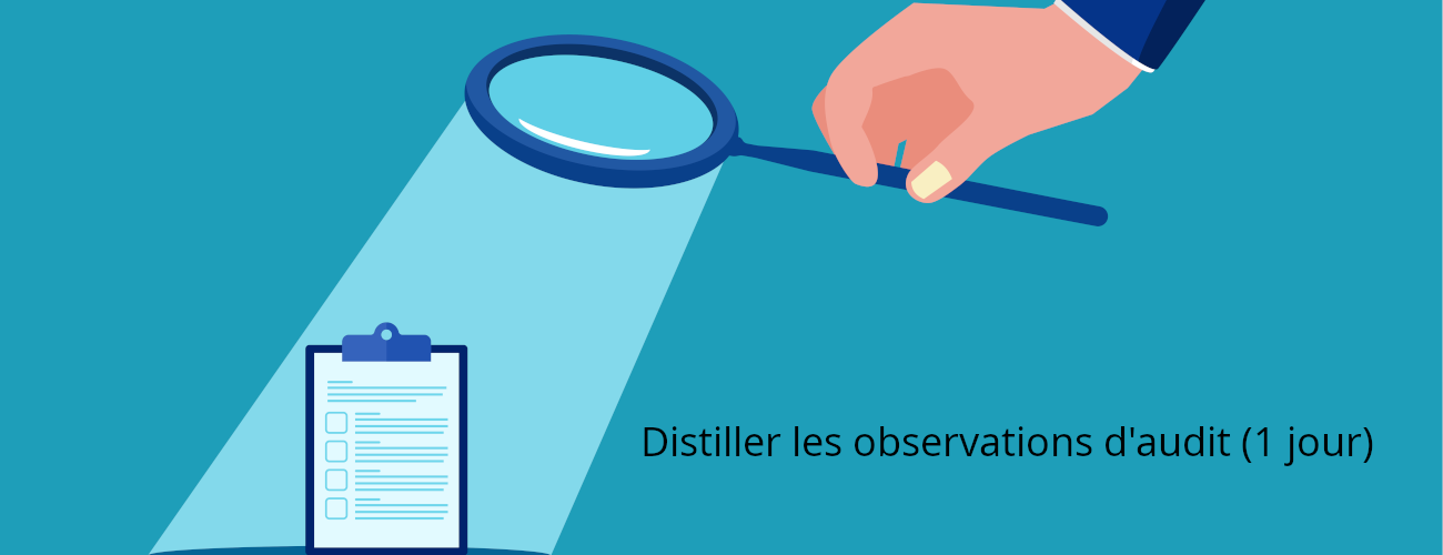 Distiller les observations d'audit